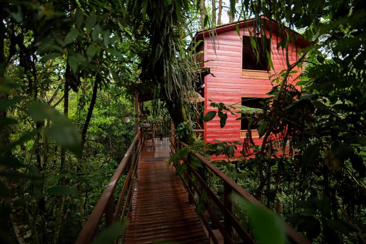 Tominejo Ecolodge - Casas En Los Arboles Neira Exteriér fotografie