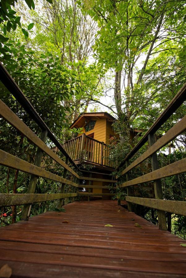 Tominejo Ecolodge - Casas En Los Arboles Neira Exteriér fotografie