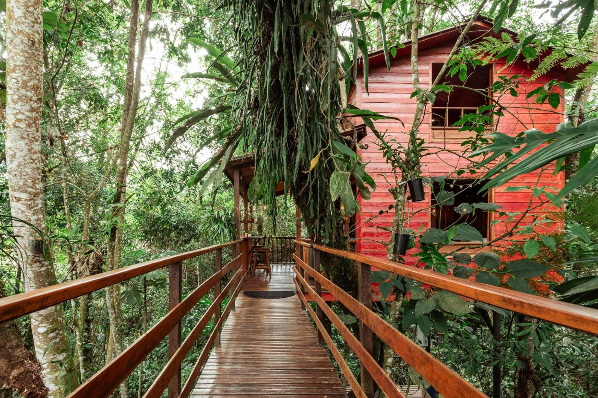 Tominejo Ecolodge - Casas En Los Arboles Neira Exteriér fotografie